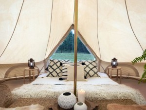 Glamping Tent WILDfest