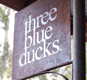 FD - Three Blue Ducks
