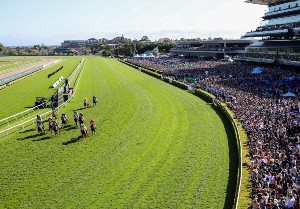 The Botanic by Chandon Garden Spritz - Australian Turf Club